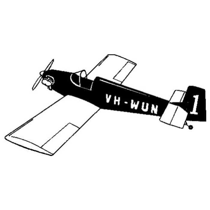 Druine Turbulent 1/4